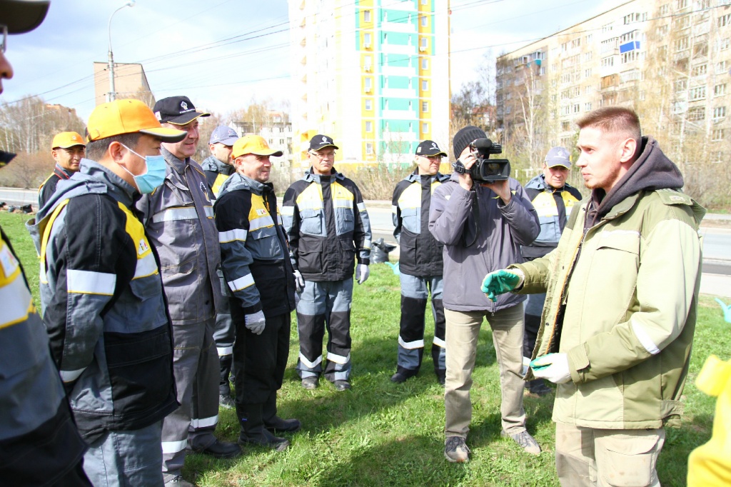 ������� ��������CAMC8063.jpg